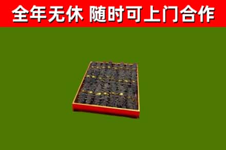 乌什回收海参